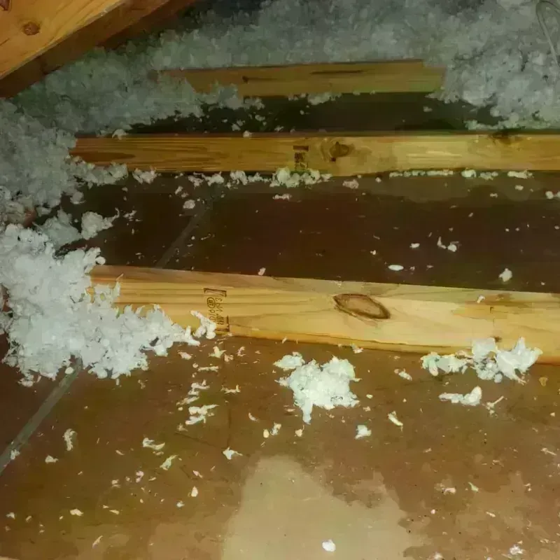 Attic Water Damage in Ross, CA