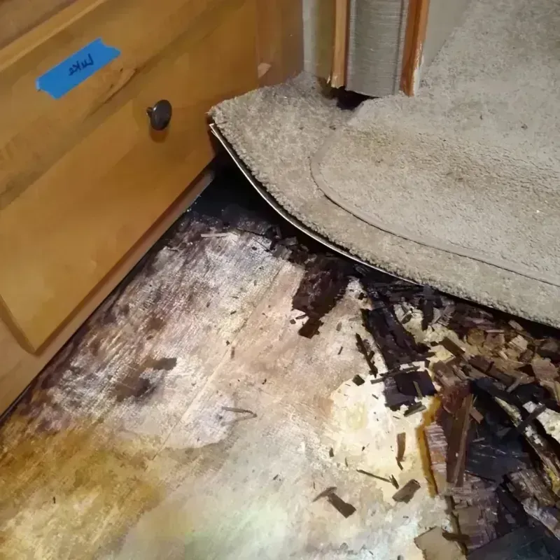 Wood Floor Water Damage in Ross, CA